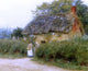 Helen Allingham RWS A Cottage With Sunflowers At Peaslake Gallery Wrapped Canvas