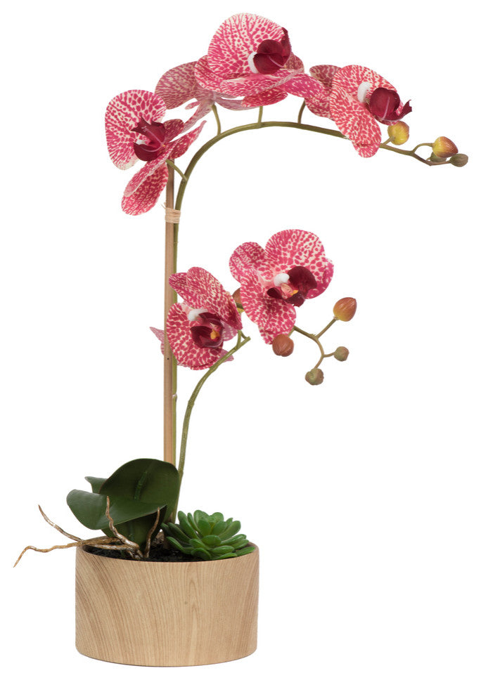 Vickerman 18" Mauve Orchid Arrangement