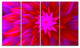 Dance of Bright Spiral Pink Flower, Floral Canvas Art Print, 48"x28", 4 Panels