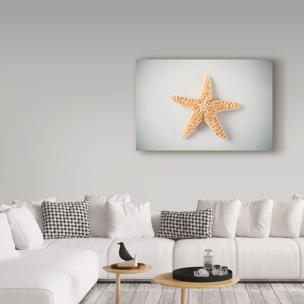 "White Orange Starfish" by Lightboxjournal, Canvas Art, 16"x24"