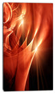 Abstract Warm Brown Fractal Design, Contemporary Abstract Wall Art, 16"x32"