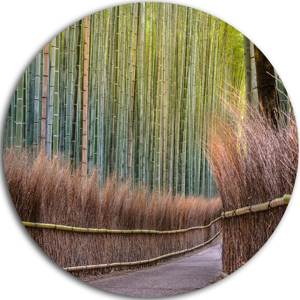 Pathway Inside Bamboo Forest, Forest Round Wall Art, 11"