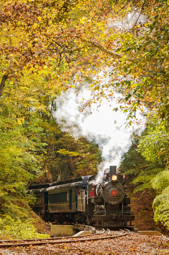 Wall Art Print Steam Train with Autumn Foliage Landscape Photo Unframed, 12" X 16"