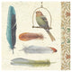 "Feather Tales II" Digital Paper Print by Daphne Brissonnet, 42"x42"