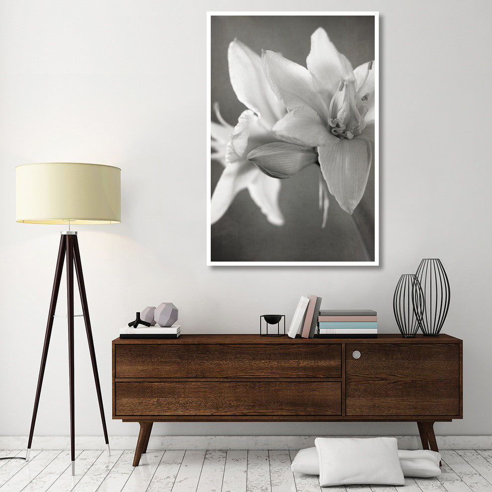 "White Amaryllis II" Digital Paper Print by Laura Marshall, 42"x62"