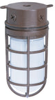 1 Light 10" Industrial Style Surface Mount With Frosted Glass