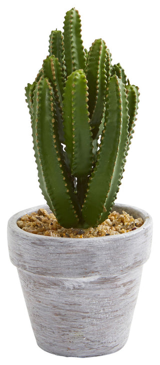 Full white-background shot of the second single-piece cactus in its pot.