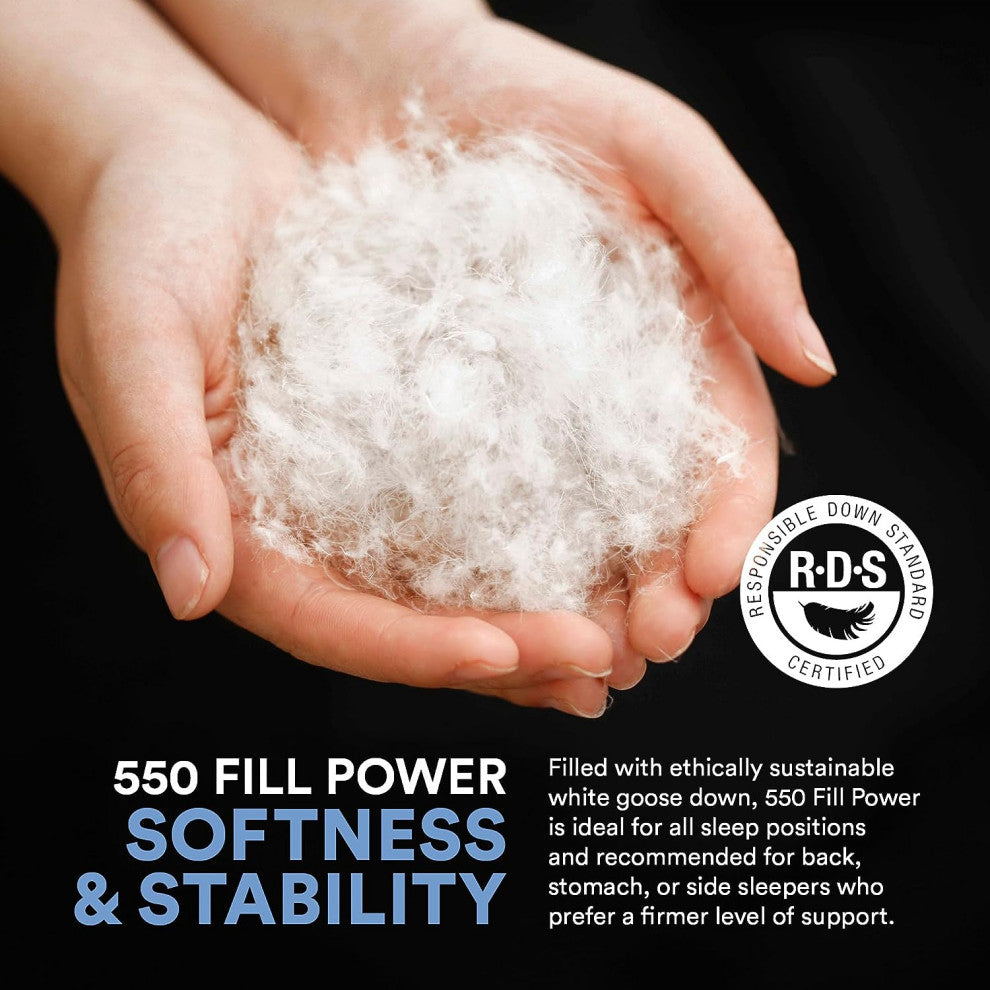 Continental Bedding - 550 Fill Power Down Pillow, Queen (1 Pack), Medium