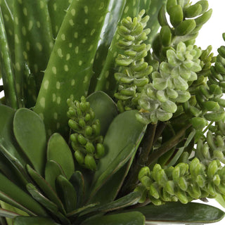 White-background close-up of the product, focusing on the pot and plant arrangement.