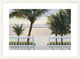 "Palm Bay" Framed Digital Print by Diane Romanello, 39x29"