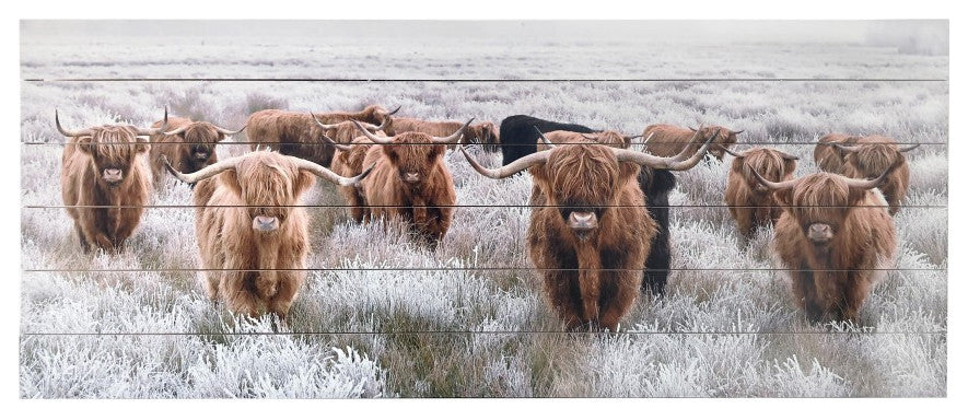 Angelic Highland Cow Herd Wood Plank Wall Art