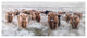 Angelic Highland Cow Herd Wood Plank Wall Art
