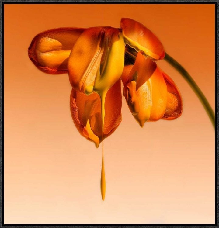 "Tears Of A Flower" Framed Canvas Giclee by Kent Mathiesen, 22x23"