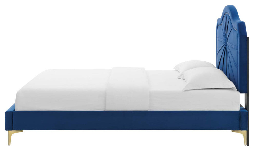 Platform Bed Frame, Queen Size, Velvet, Blue Navy, Modern Contemporary, Bedroom