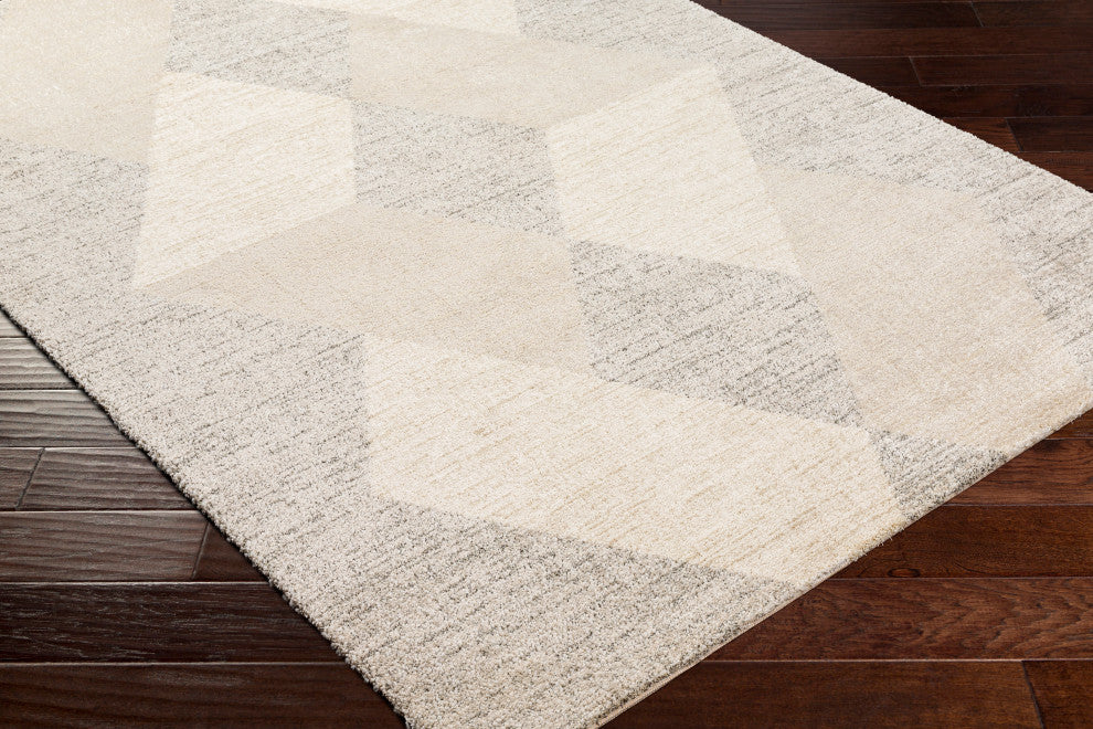 Surya Gavic GVC-2316 Machine Woven Area Rug, Ivory, 4'3" x 5'11"