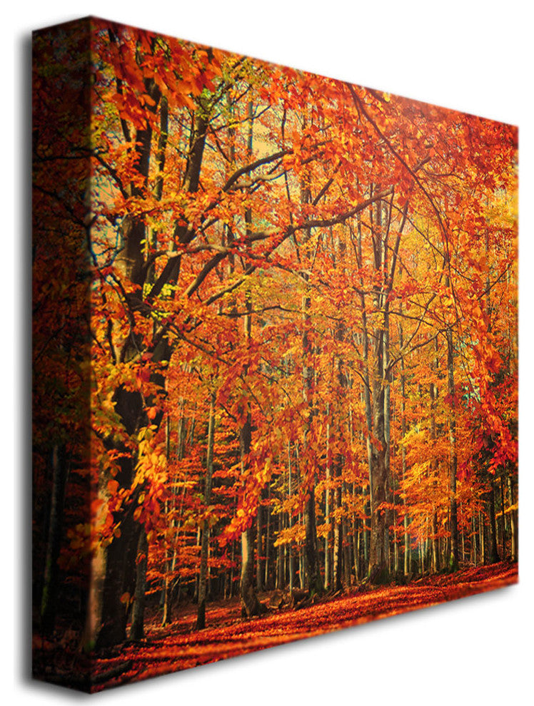 'Red November' Canvas Art by Philippe Sainte-Laudy