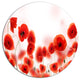 Poppy Flowers On Pink Background, Floral Large Disc Metal Wall Art, 11"