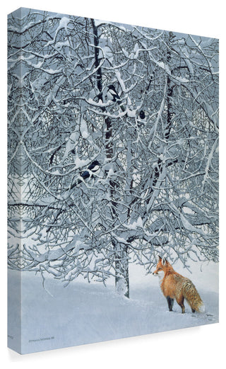 Harro Maass 'Fox In Snow' Canvas Art, 47"x35"