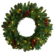 20" Frosted Pine Artificial Christmas Wreath, Pinecones, Berries 35 LED Lights
