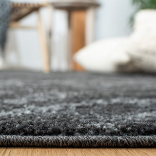Safavieh Adirondack Collection, ADR131Rug, Dark Grey / Grey, 10'x14'