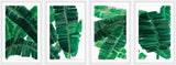 New Orleans II Quadriptych, 64x24