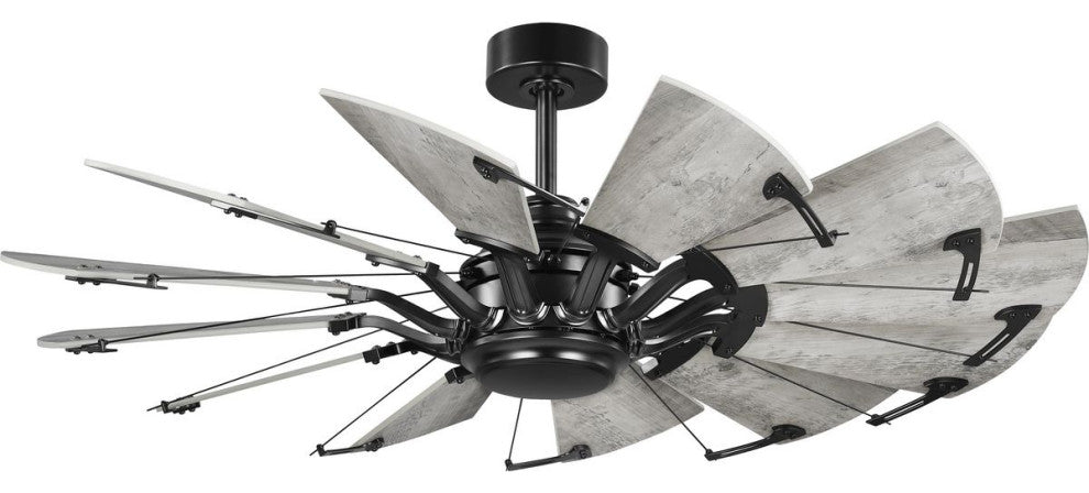 Springer 52" 12-Blade DC Motor Windmill Ceiling Fan, Matte Black