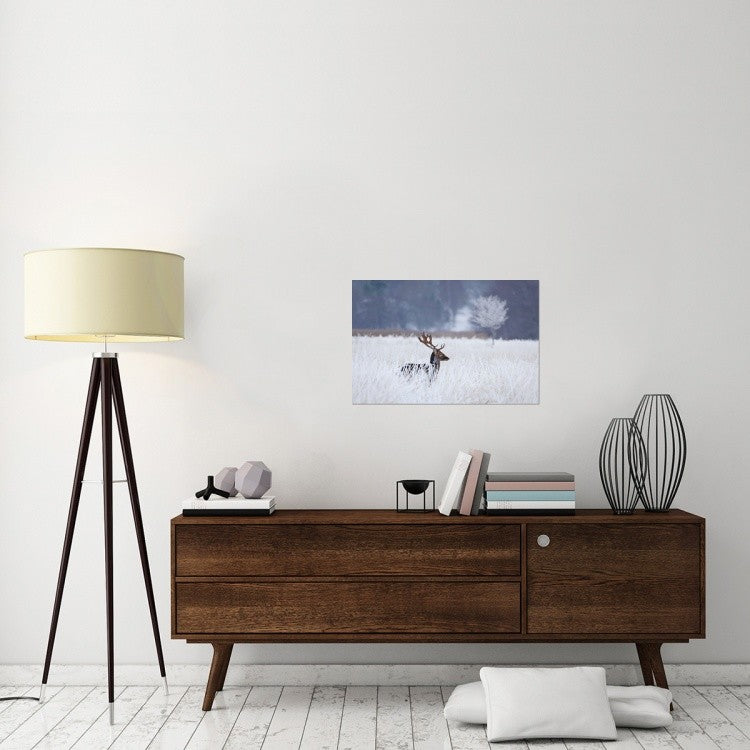 "Fallow Deer In The Frozen Winter Landscape" Canvas by Allan Wallberg, 30x20"