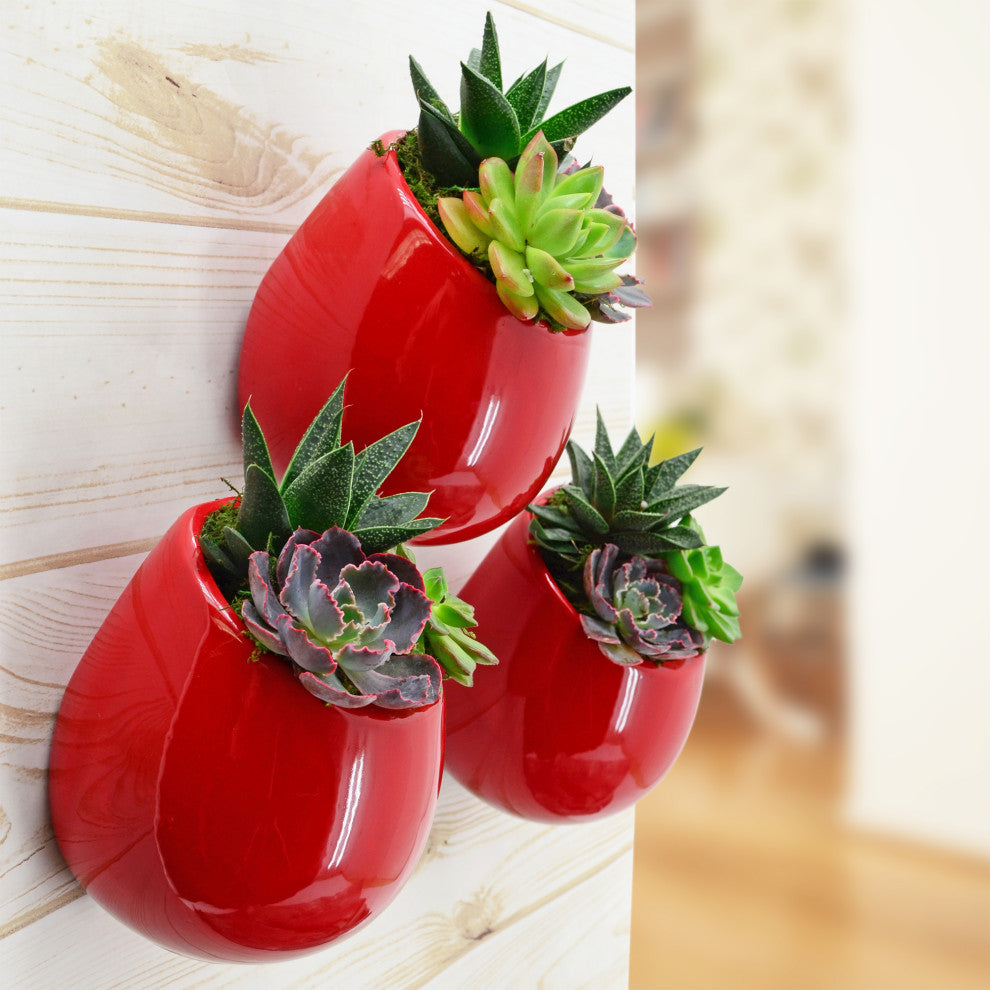 Small Round Wall Planters, Set of 3, Red