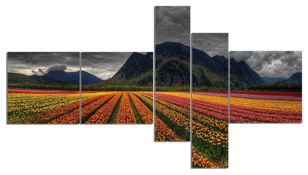 Beautiful Colored Tulips Panorama, Large Landscape Canvas Art, 60"x32", 5 panels