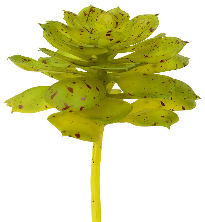 Vickerman Fo180901 6" Artificial Green And Brown Spotted Echeveria Pick