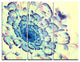 "Blue Fractal Flower With Red Details" Metal Wall Art, 3 Panels, 36"x28"