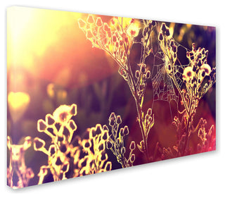 'Painting with Light' Canvas Art by Beata Czyzowska Young