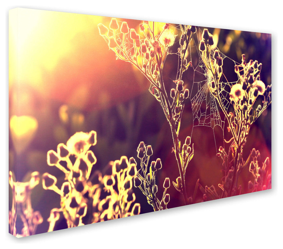 'Painting with Light' Canvas Art by Beata Czyzowska Young