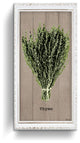 Thyme Wrapped Canvas Botanical Kitchen Wall Art, 16"x8"