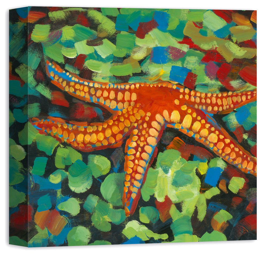Painted Starfish on Seaglass 16x16 Canvas Wall Art