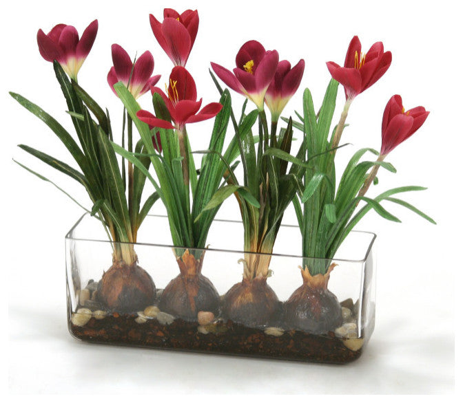 WaterlookÂ® Crocus in Glass with Bark