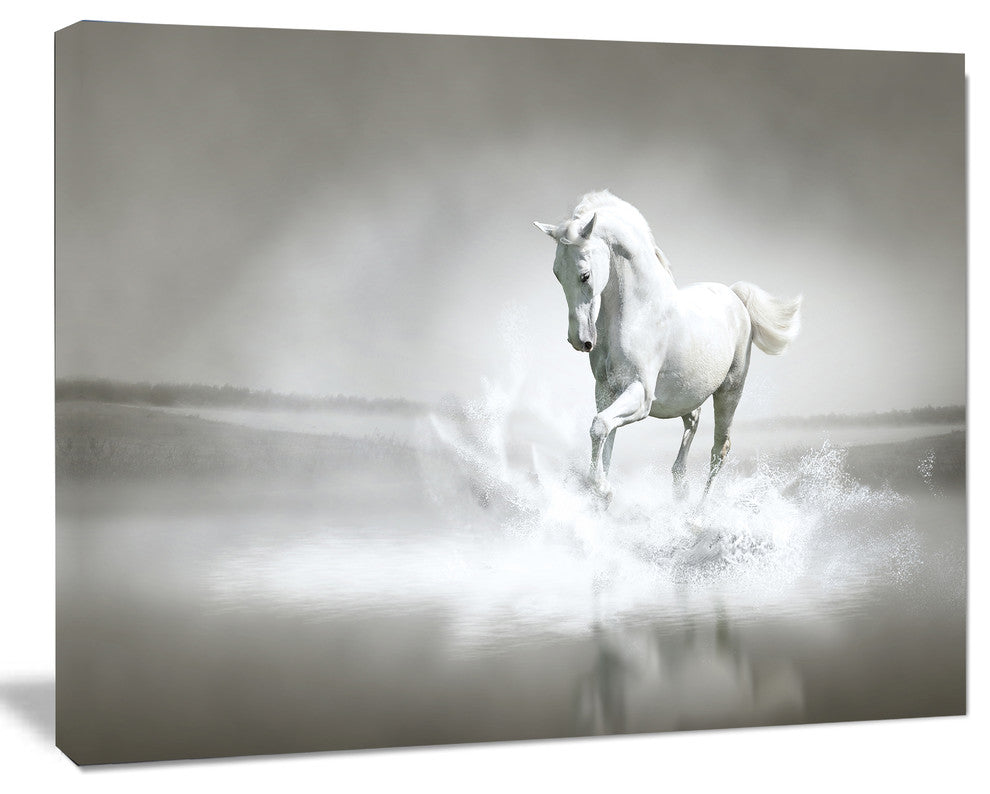 White Horse Running in Water, Animal Canvas Art Print, 20"x12"