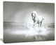 White Horse Running in Water, Animal Canvas Art Print, 20"x12"