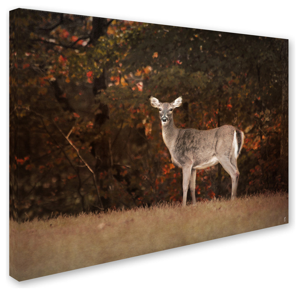 Jai Johnson 'Autumn Doe' Canvas Art, 47 x 35