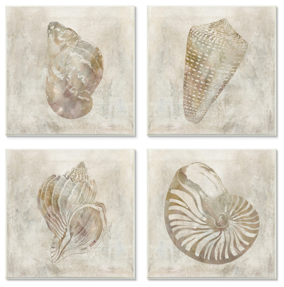 Vintage Nautilus Seashells Soft Brown Patterned Aquatic Animals,12 x 12