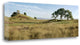 "Oak Tree - 83" By Alan Blaustein, Giclee Print on Gallery Wrap Canvas