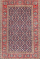 Ahgly Company Indoor Rectangle Traditional Area Rugs, 2' x 5'