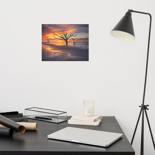 Sunrise and Trees At Edisto Island Coastal Landscape Photo Loose Wall Art Print, 11" X 14"