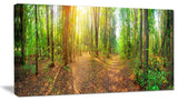 Dense Forest Panorama, Landscape Canvas Art Print, 32"x16"