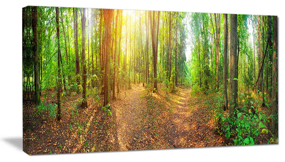 Dense Forest Panorama, Landscape Canvas Art Print, 32"x16"