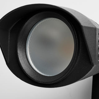 LED Dual Head Security Light, Black