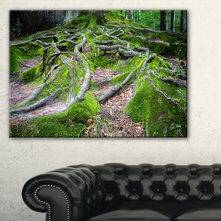 "Green Wild Deep Moss Forest" Landscape Art Print Canvas, 32"x16"