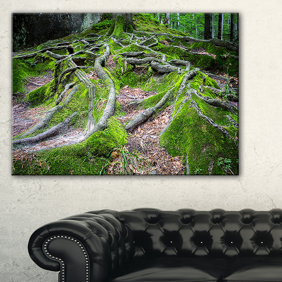 "Green Wild Deep Moss Forest" Landscape Art Print Canvas, 32"x16"
