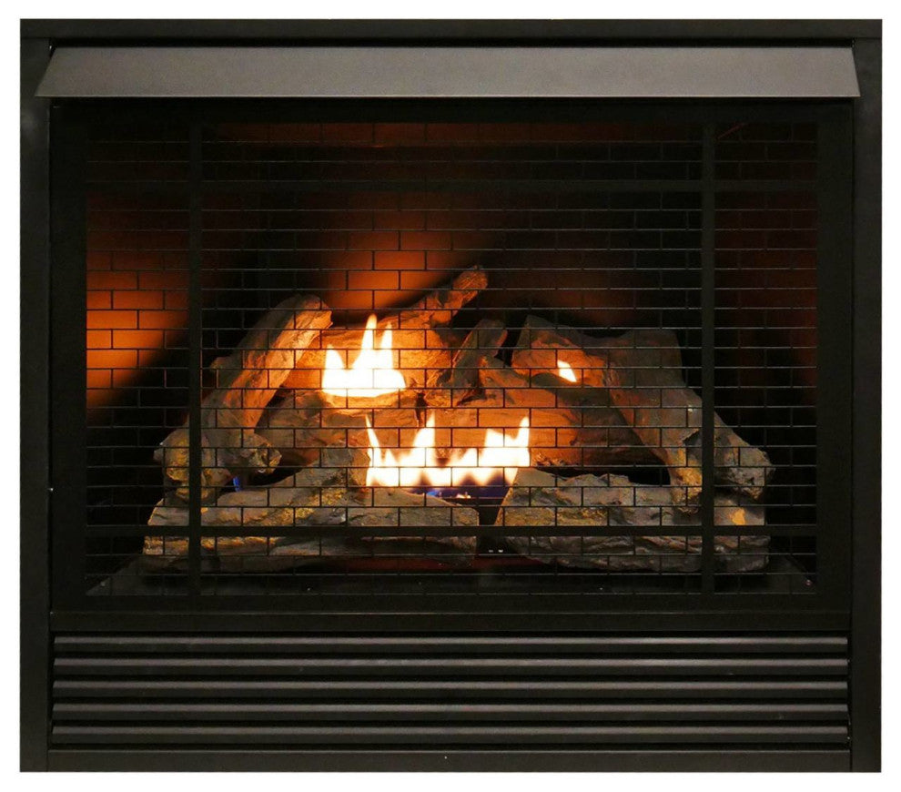Duluth Forge Dual Fuel Ventless Fireplace Insert 32K BTU With Remote, FDI32R-A