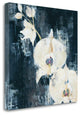 "Shadow Orchids I" By Liz Jardine, Giclee Print on Gallery Wrap Canvas